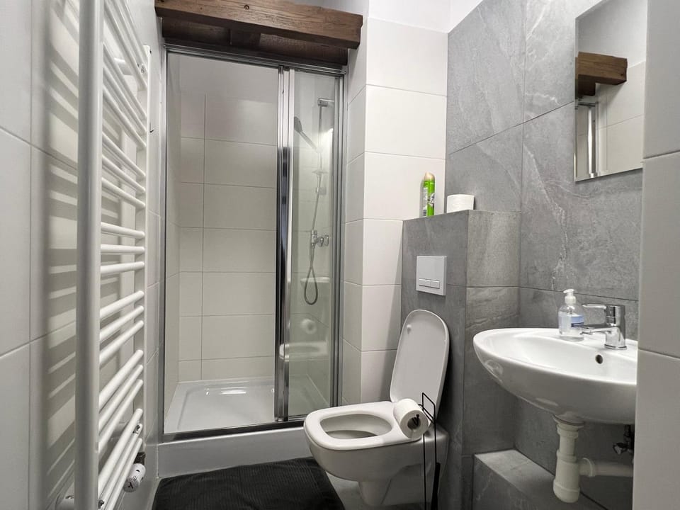 Shower, Toilet, Bathroom, towels
