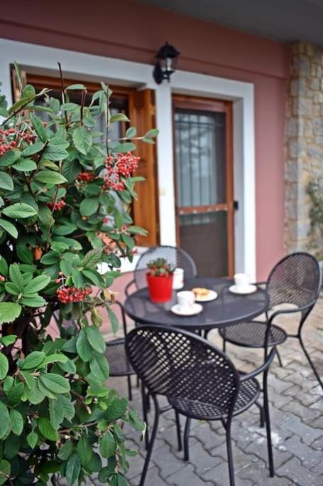 Patio, Garden