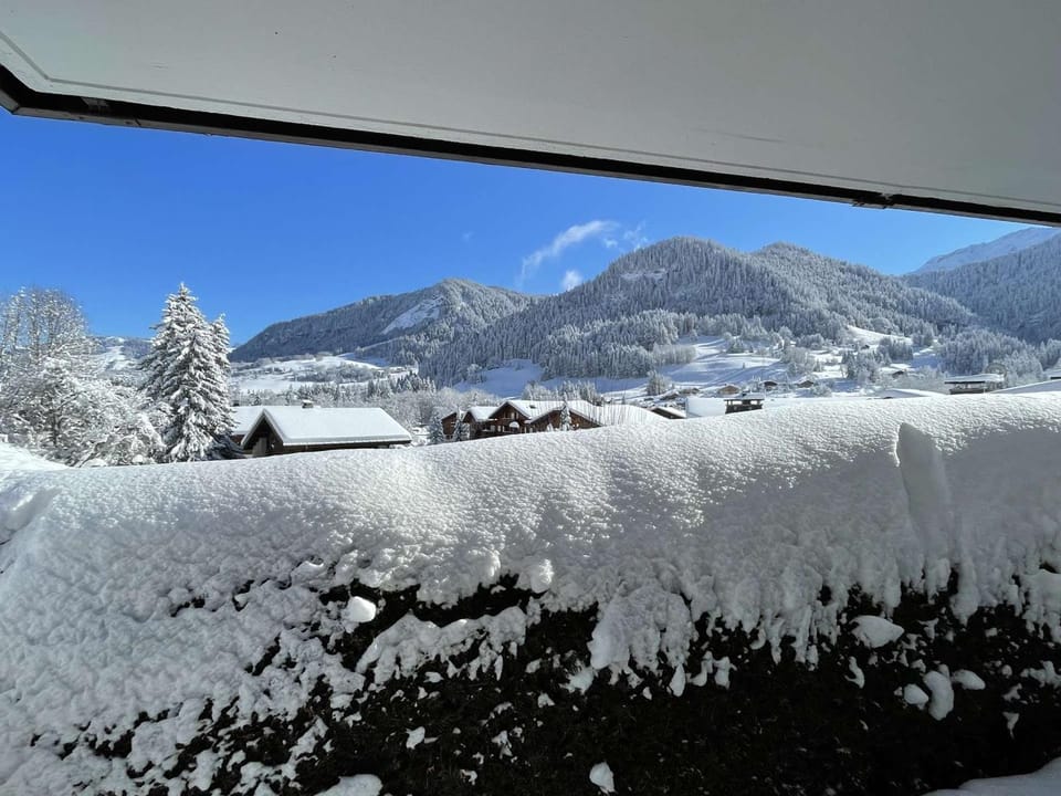 Studio Cabine à Praz-sur-Arly, 4 pers, proche pistes et village, parking et extérieur privé - FR-1-603-73 Cabin in Megève