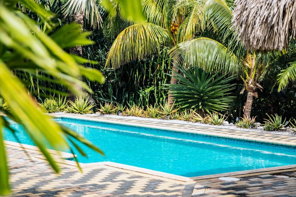 Garden, Pool view, Swimming pool