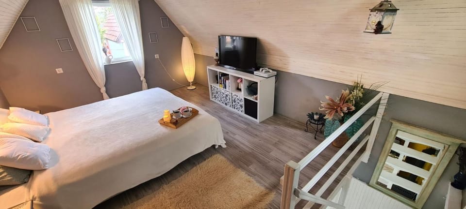 DÉZSAFÜRDŐS TÓPARTI NYARALÓ House in Hungary