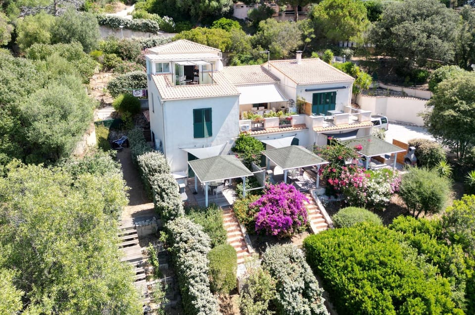 Property building, Bird's eye view