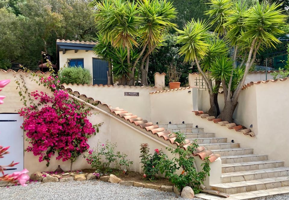Facade/entrance, Garden