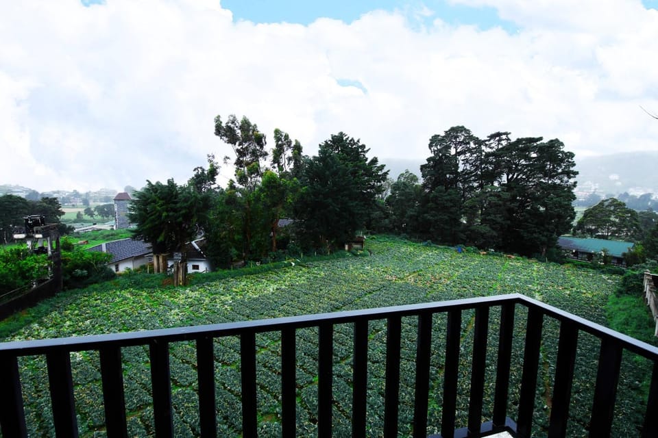 View (from property/room), Balcony/Terrace