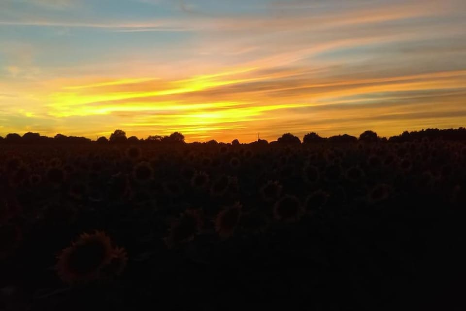 Natural landscape, Sunset