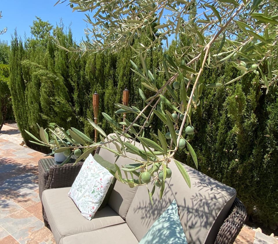 Garden, Seating area, Garden view