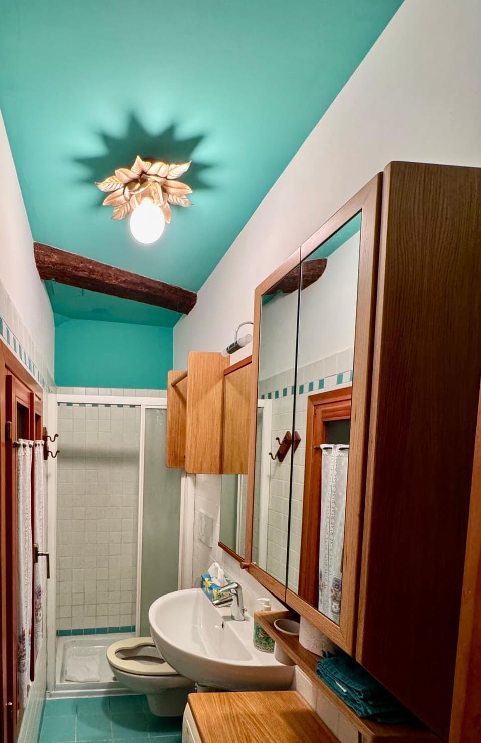 Shower, Bathroom