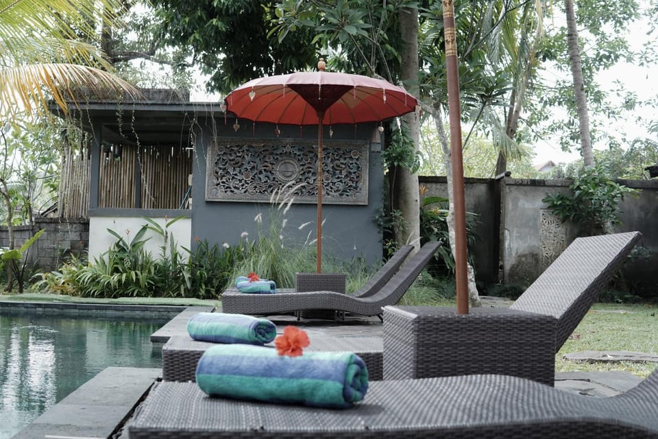 Patio, Garden, Swimming pool, sunbed