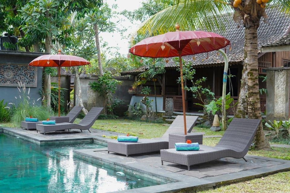 Property building, Patio, Garden, Garden view, Pool view, Swimming pool, sunbed, towels