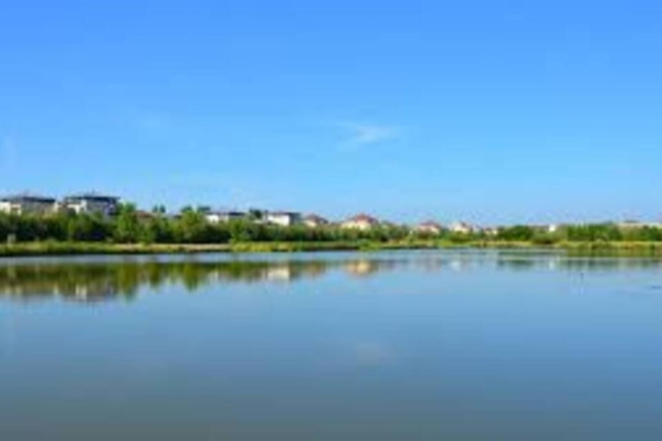 COSY FLAT Apartment in Bussy-Saint-Georges