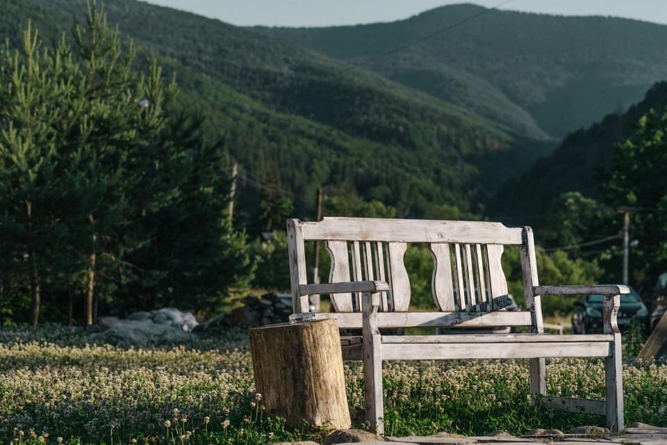 Natural landscape, Seating area, Mountain view