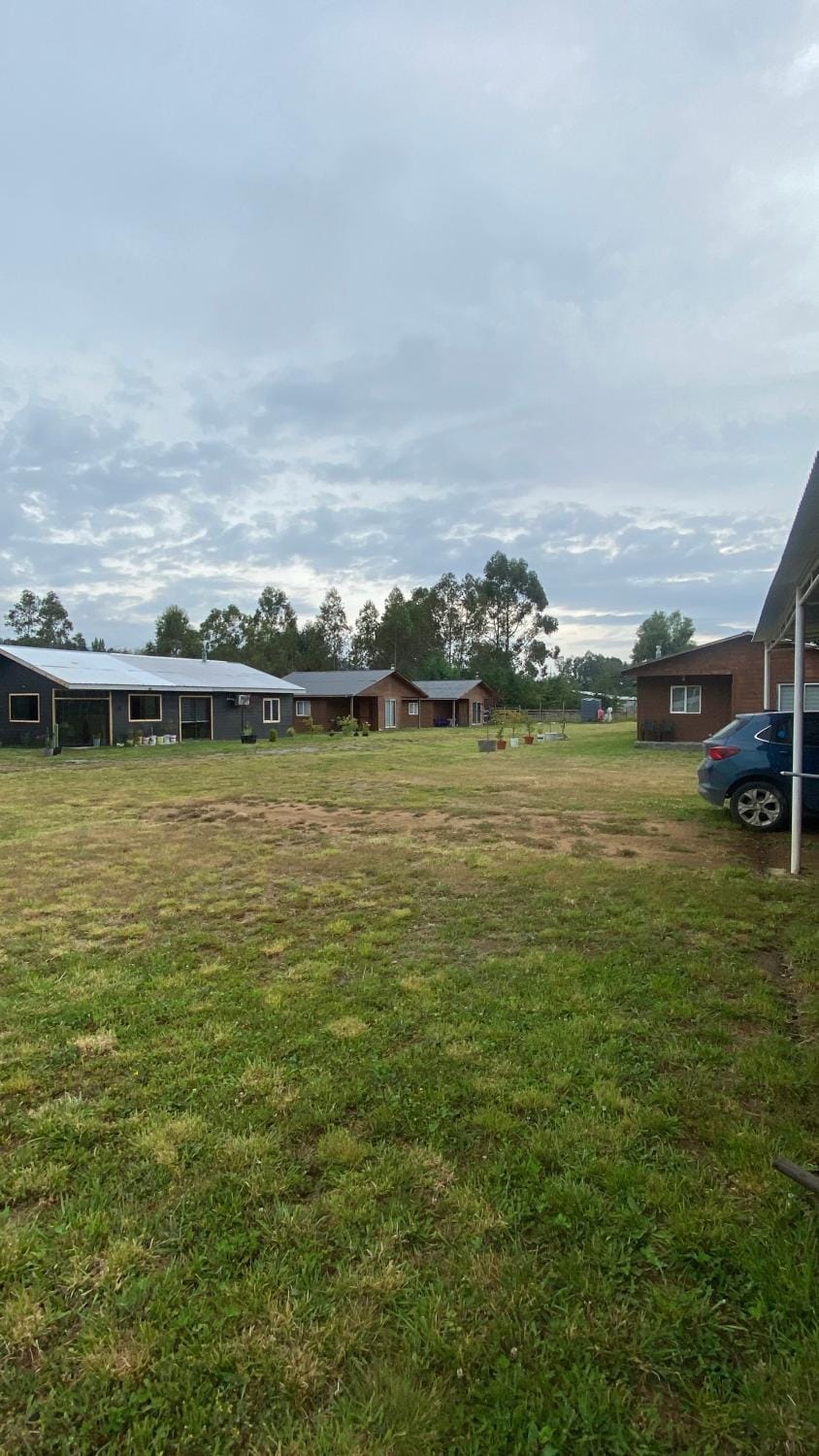 Day, Natural landscape, Garden, Garden view, Parking
