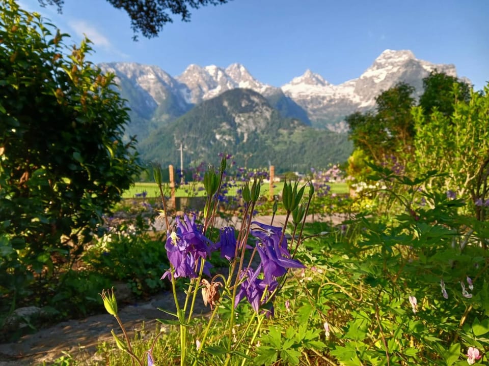 Mountain view
