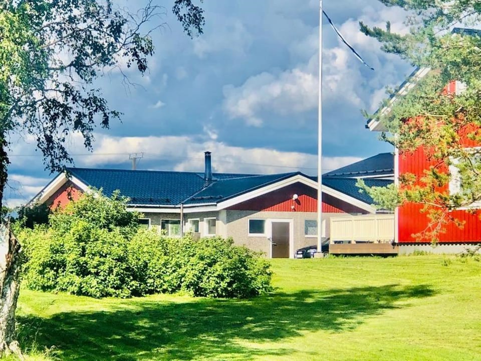 Day, Garden, Garden view