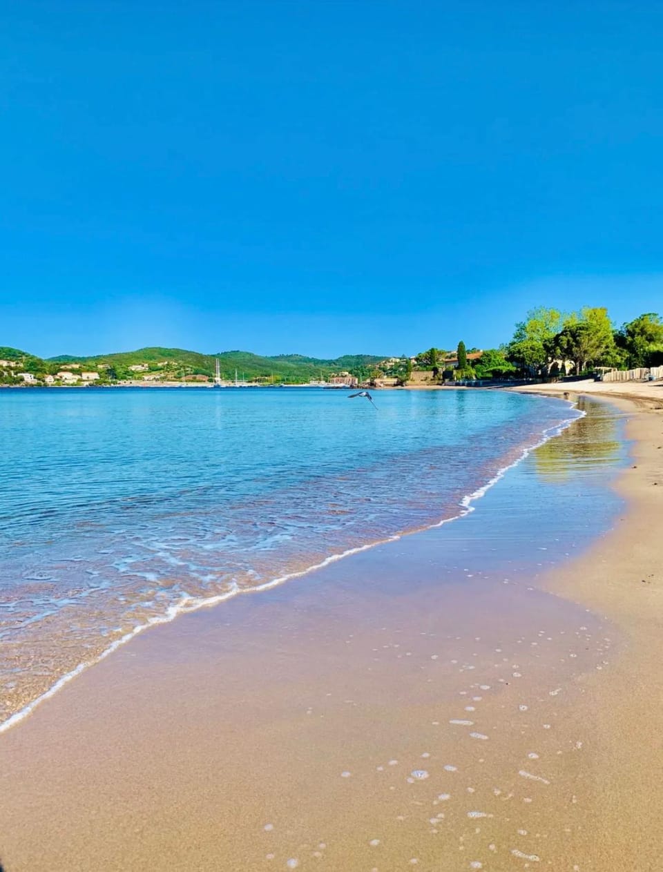 Nearby landmark, Beach