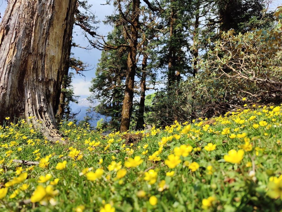 Natural landscape