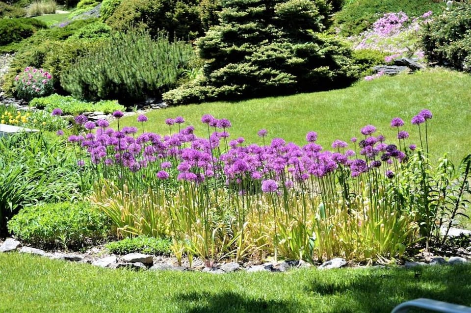 Carraig Mor Cottage - Beautiful House, Amazing Garden, Downtown Baileys Harbor House in Door County