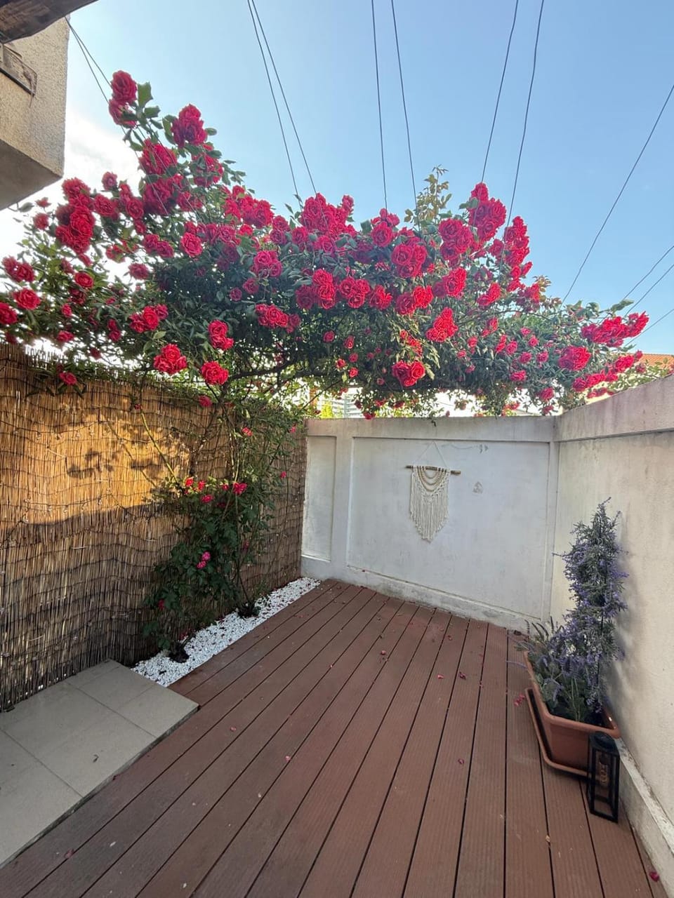 Day, Garden, Balcony/Terrace, Garden view