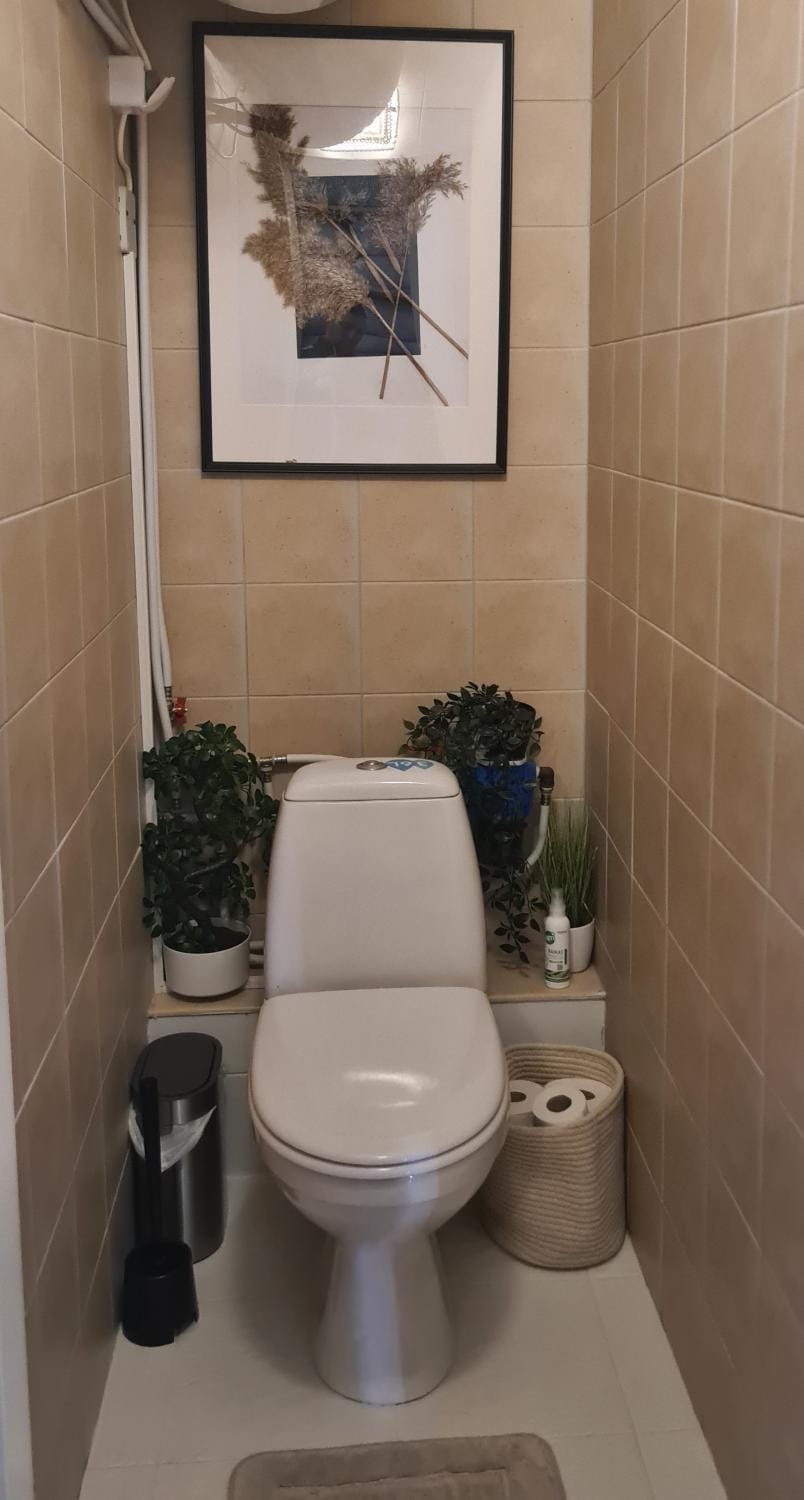 Toilet, Bathroom