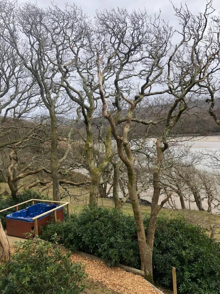Waterside Cader Cabin with Hot Tub Cabin in Wales