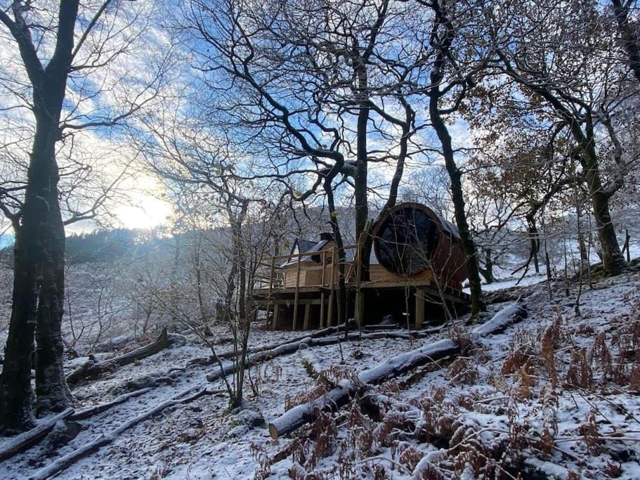 Chestnut Tree House with Hot tub & Sauna Apartment in Wales