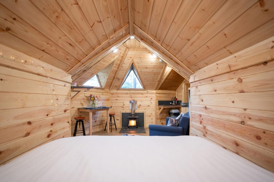 Pine Tree House with Hot tub & Sauna Apartment in Wales