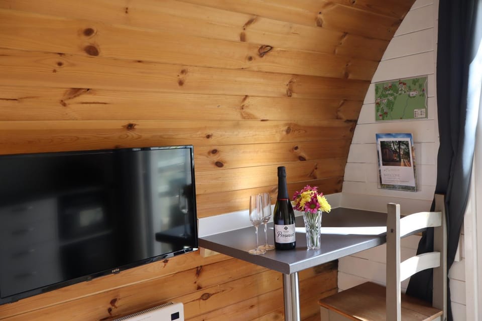 Ash Cabin with Hot Tub Cabin in Wales