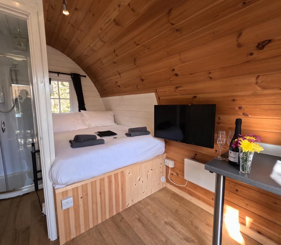 Ash Cabin with Hot Tub Cabin in Wales