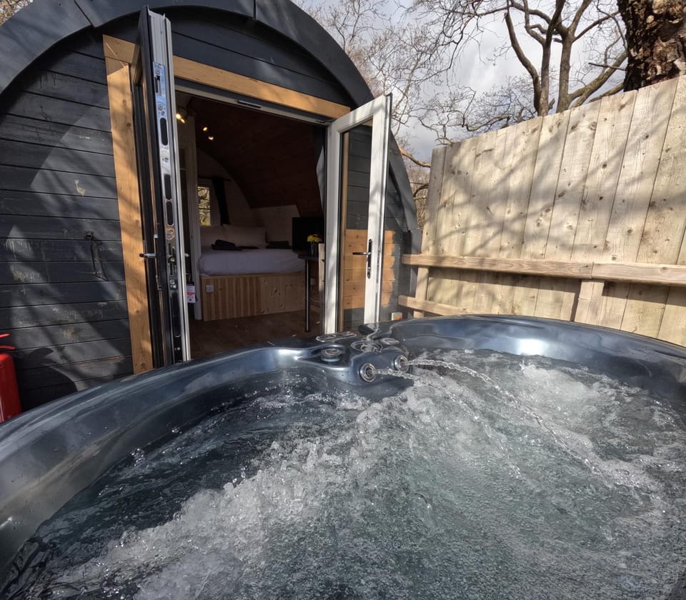Ash Cabin with Hot Tub Cabin in Wales
