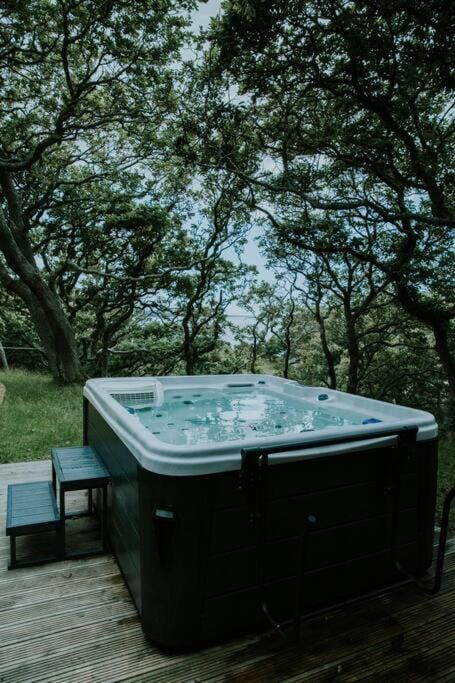 Snowdonia Mawddach Cabin and hot tub Glamping Cabin in Wales