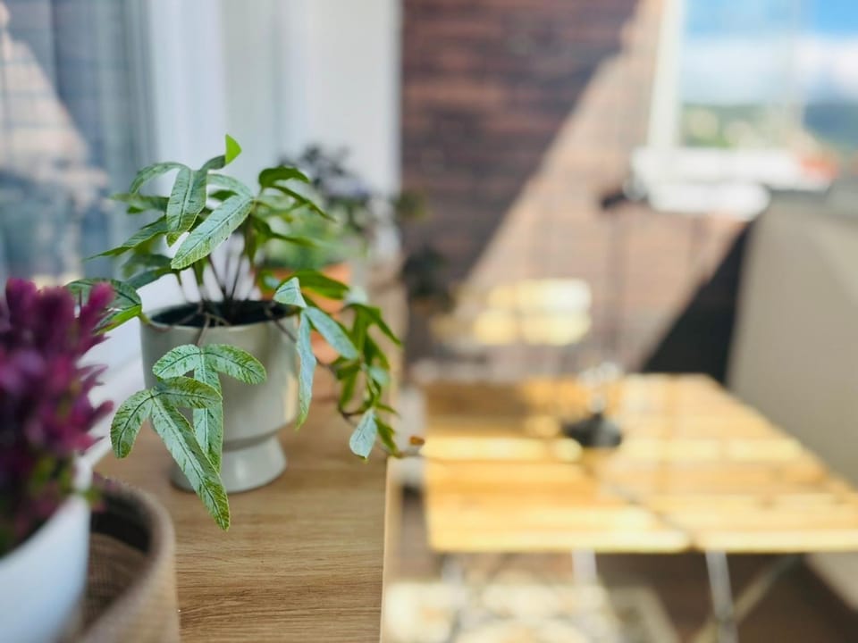 Day, Balcony/Terrace, Decorative detail