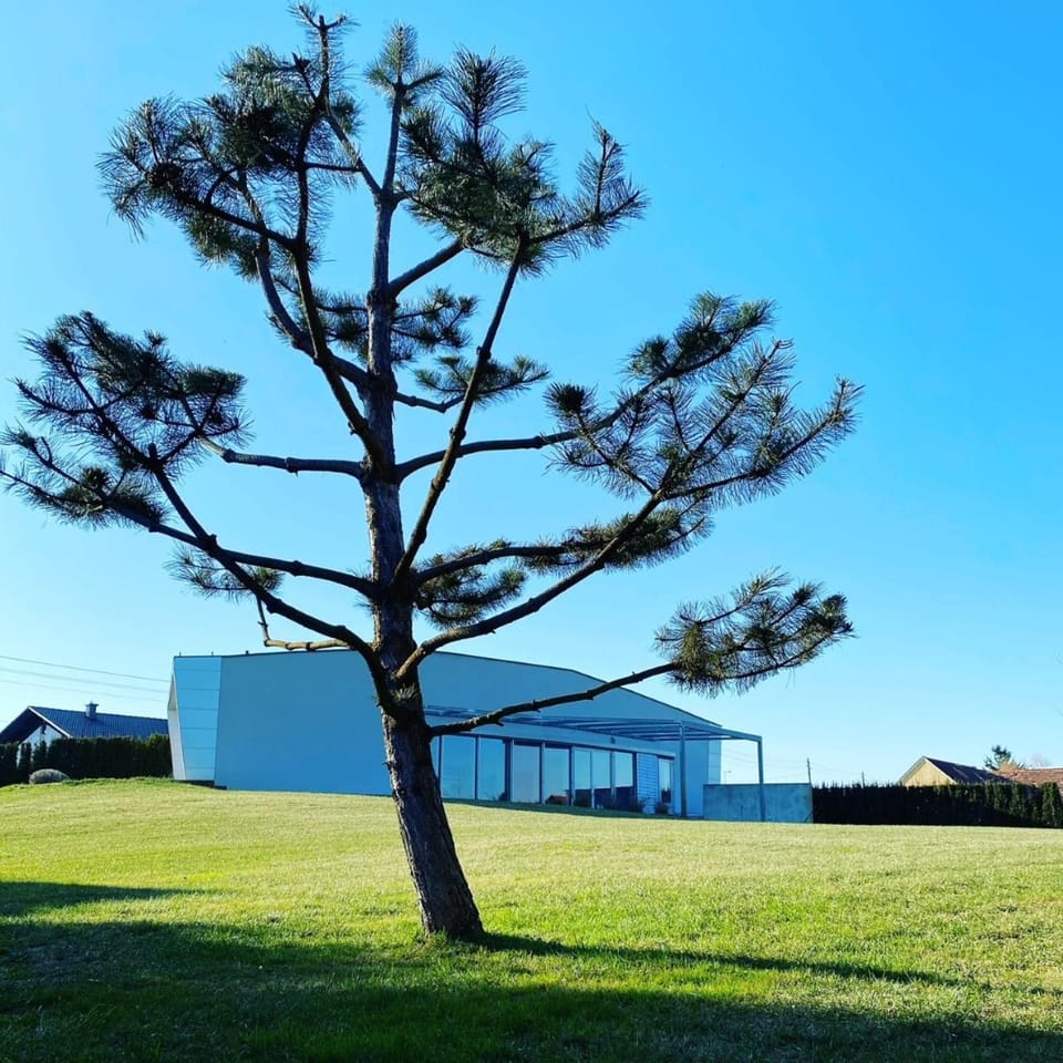 Property building, Natural landscape, Garden, Garden view