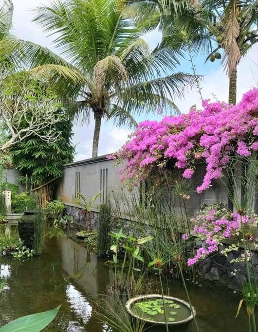 Villa Bukit Temawang Near Sidemen and Mount Agung Villa in Selat