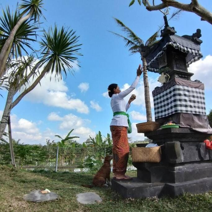 Villa Bukit Temawang Near Sidemen and Mount Agung Villa in Selat