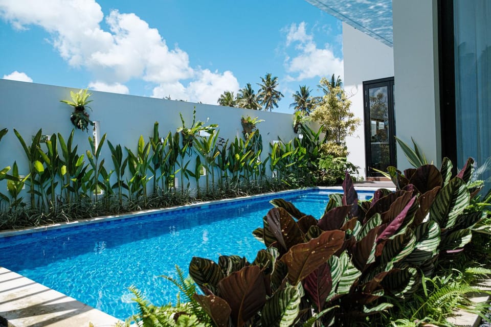 Garden, Pool view, Swimming pool