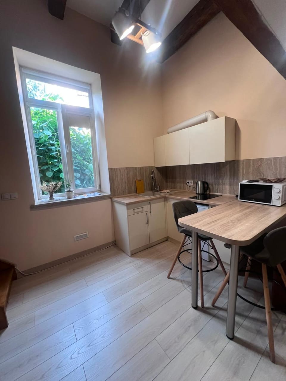 Kitchen or kitchenette, Seating area, microwave, kitchen
