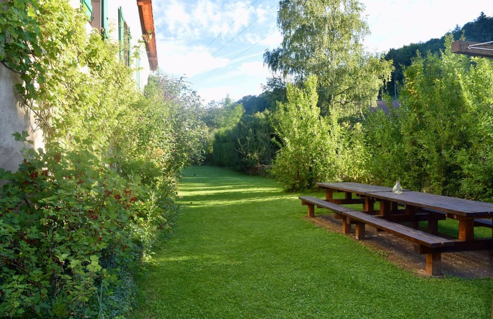 Spring, Garden