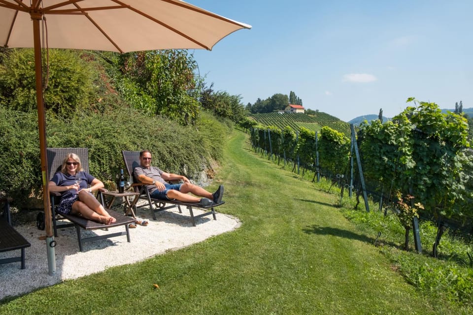 Garden, Garden, Balcony/Terrace, Guests, sunbed