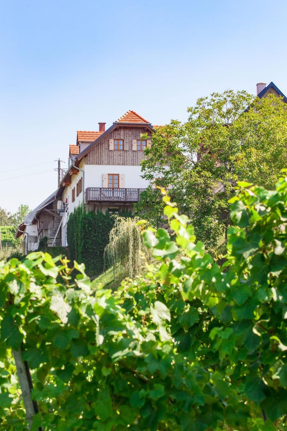 Property building, Natural landscape
