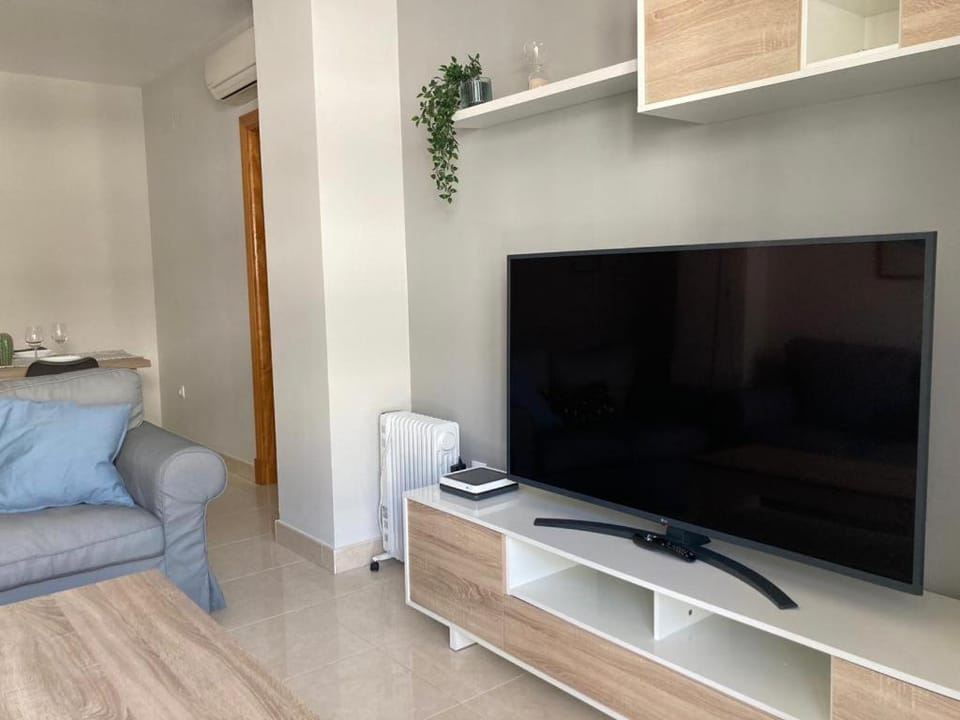 TV and multimedia