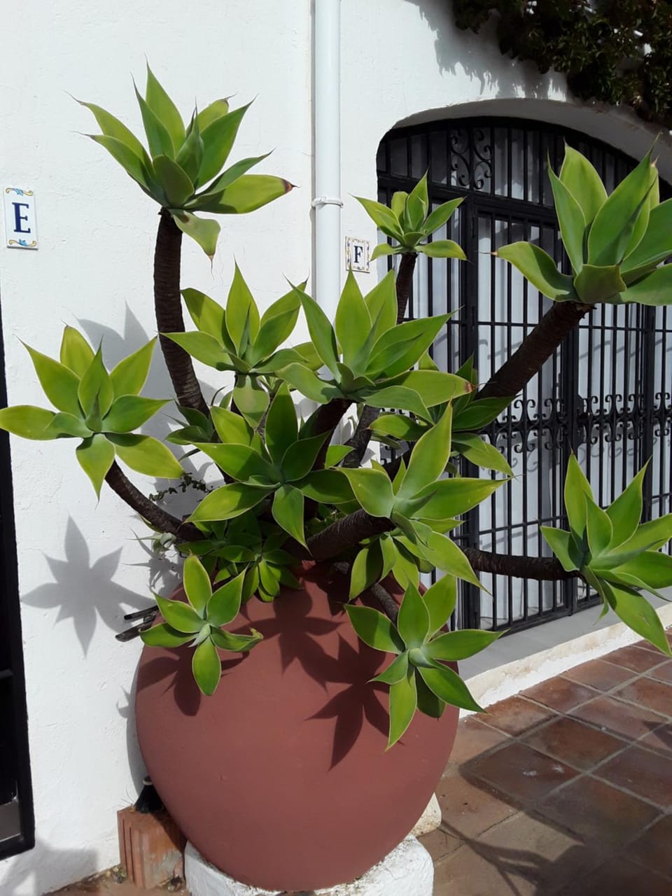 Holidays & Home Doña Lola Resort Calahonda Apartment in Sitio de Calahonda