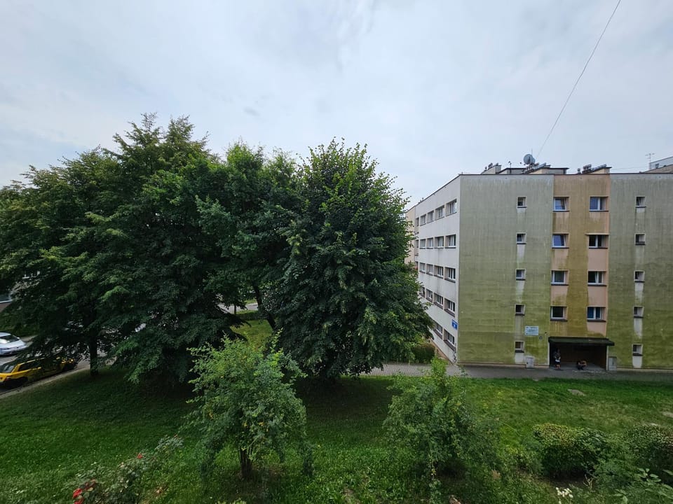 Natural landscape, Garden view