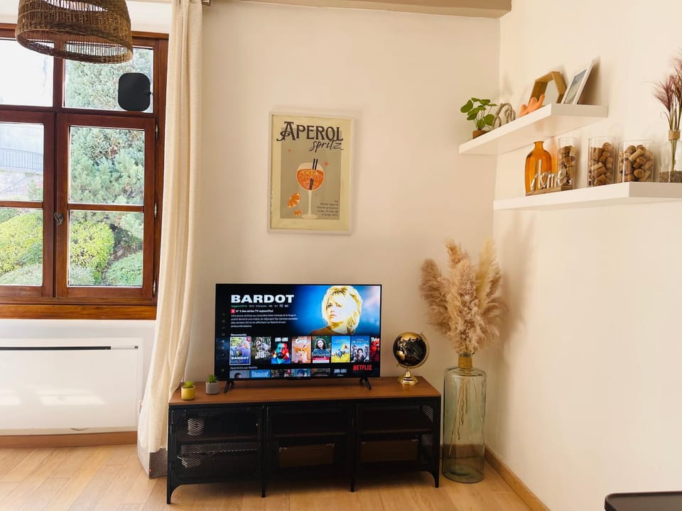 TV and multimedia