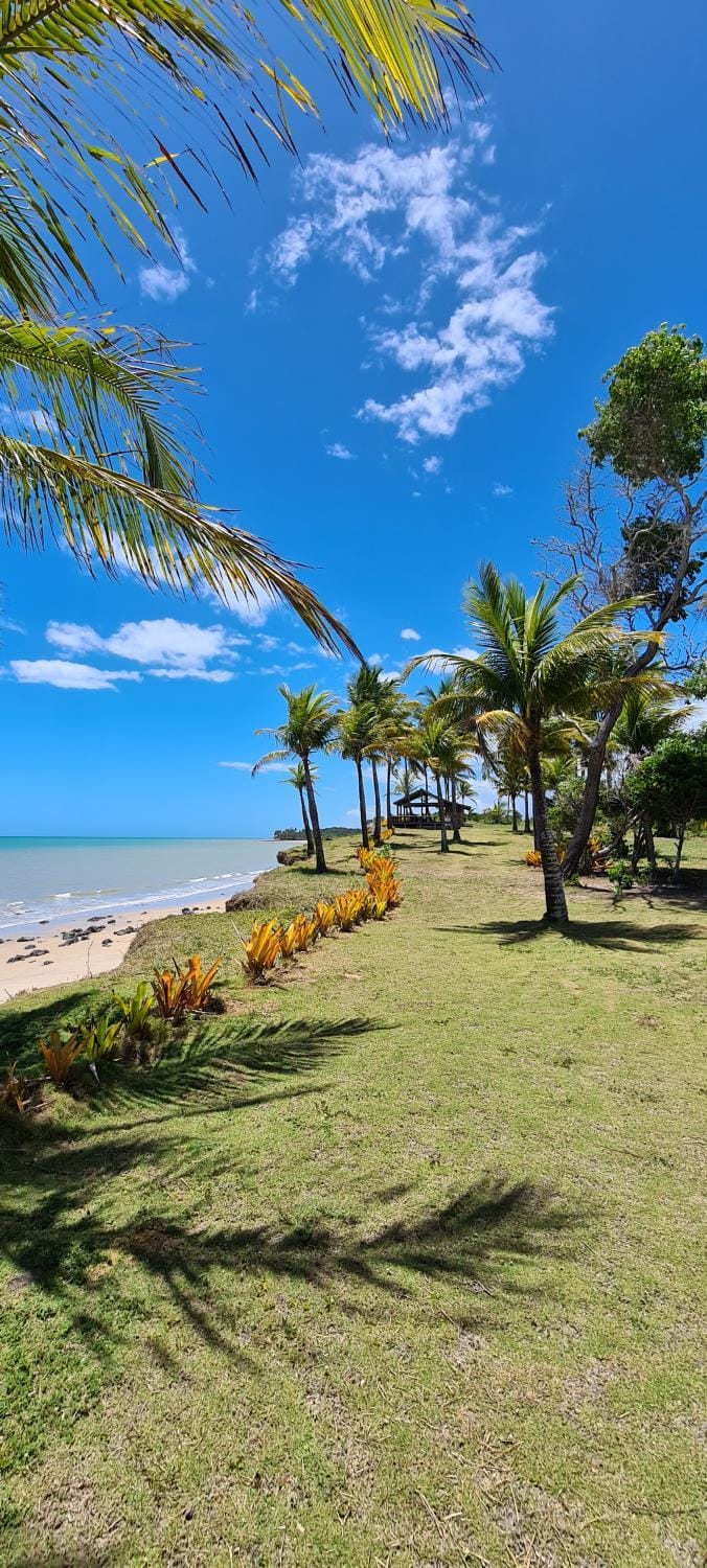 Garden, Beach, Garden view, Sea view