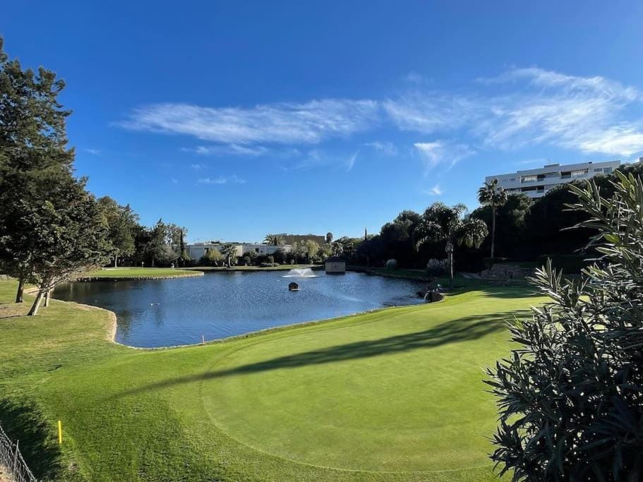 Day, Natural landscape, Golfcourse