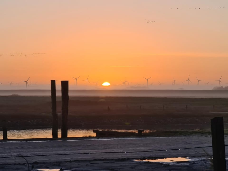 Sunrise