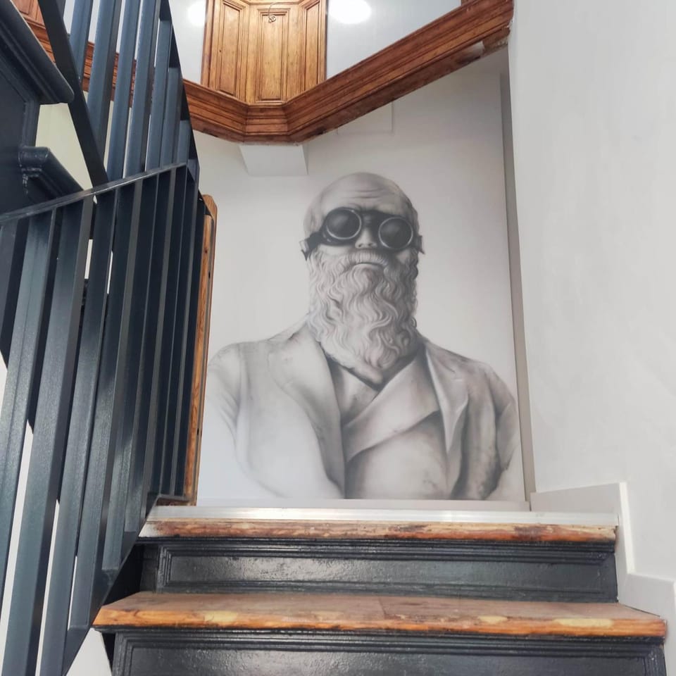 Kamienica Centrum Apartament nr 9 Apartment in Szczecin