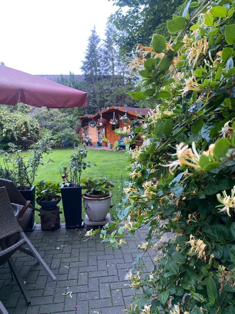 Garden view