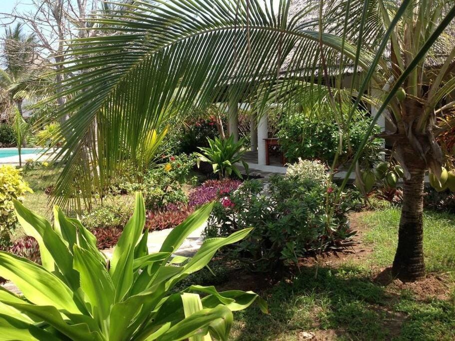 Luxury Simba House in Watamu [ ☆☆☆☆☆ ] Apartment in Kenya