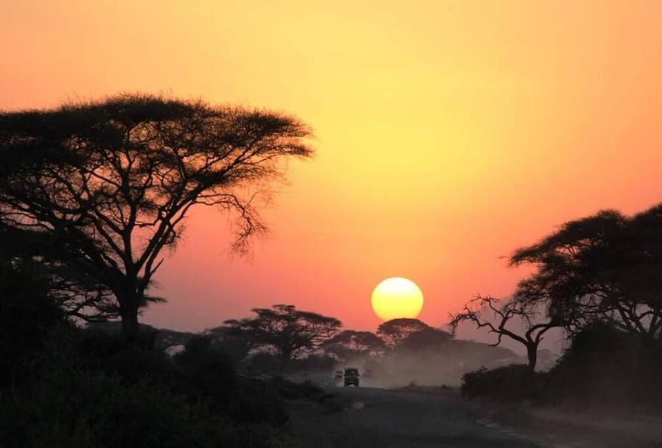 Luxury Simba House in Watamu [ ☆☆☆☆☆ ] Apartment in Kenya